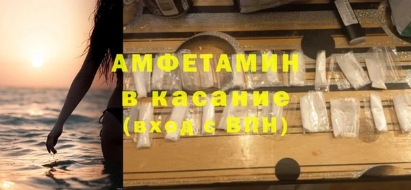 шишки Бородино