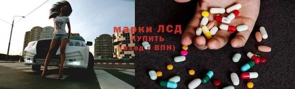 шишки Бородино