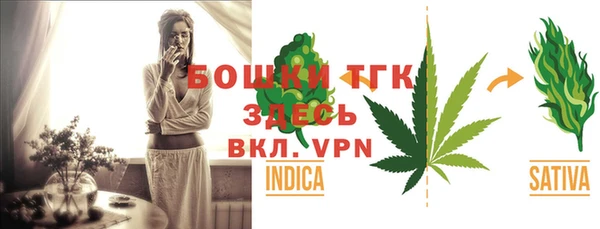 шишки Бородино