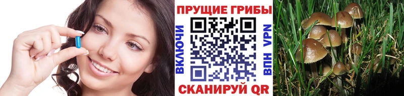 Купить закладки  Суоярви  Галлюциногенные грибы MAGIC MUSHROOMS 